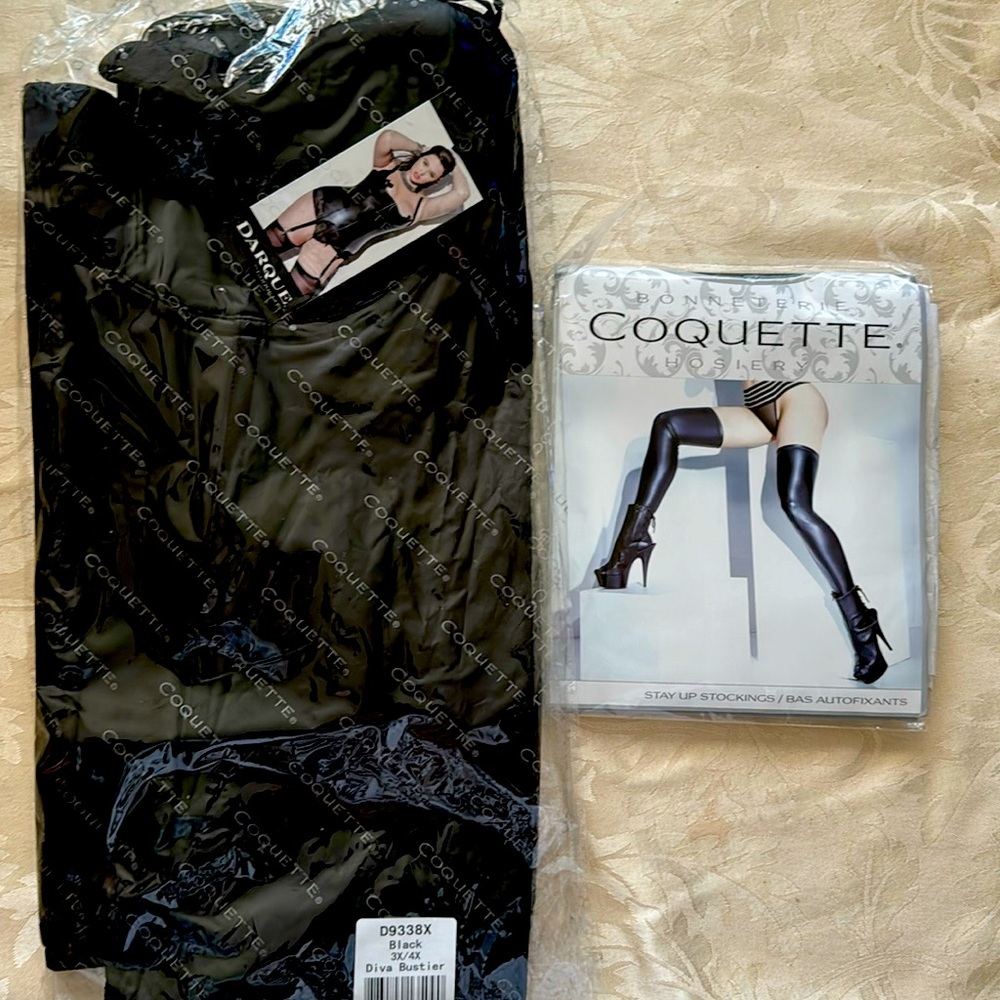 Diva Bustier and stockings 3x/4x new in packages